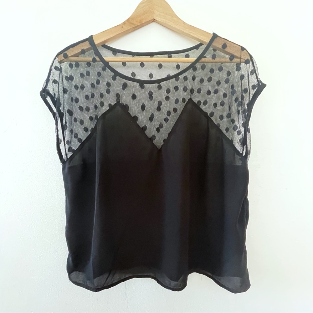 Black Top With Sheer Swiss Dot Paneling